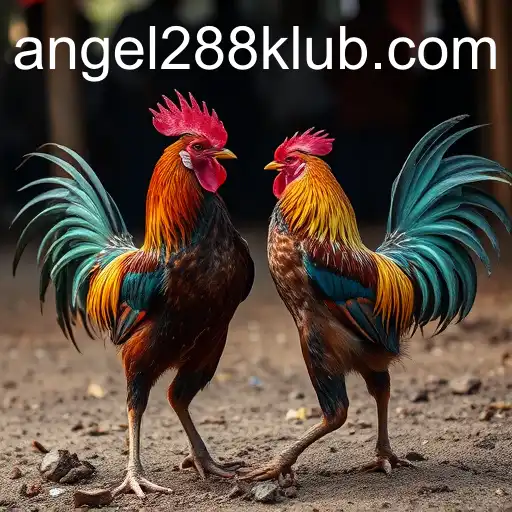 Cockfighting: An In-Depth Look into the Controversial Tradition